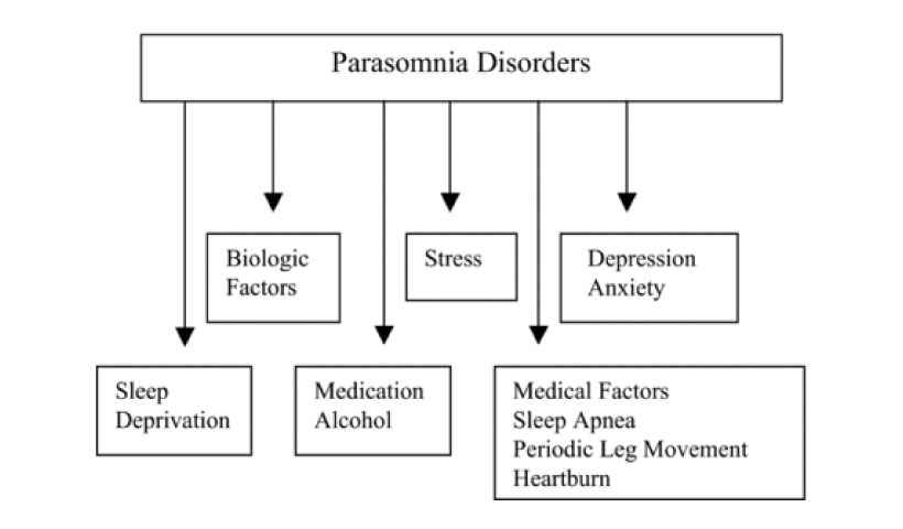 causes of parasomnia