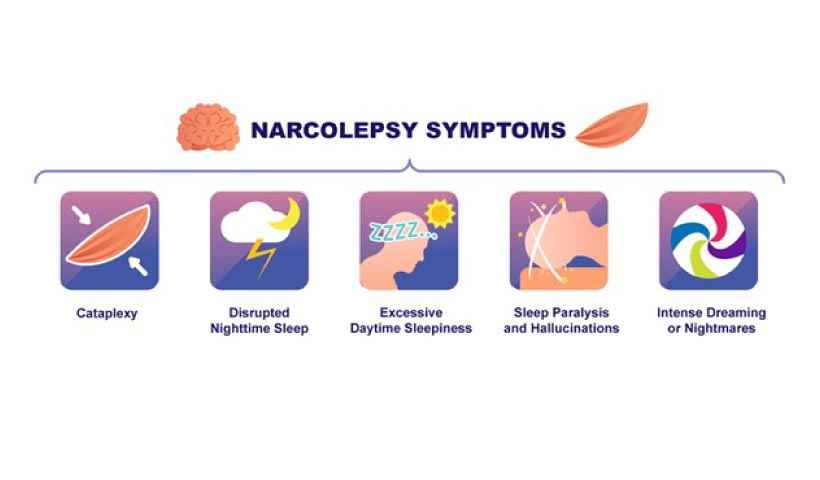 symptoms of narcolepsy