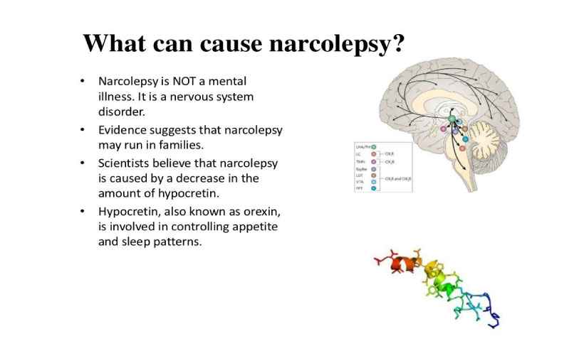 what causes narcolepsy